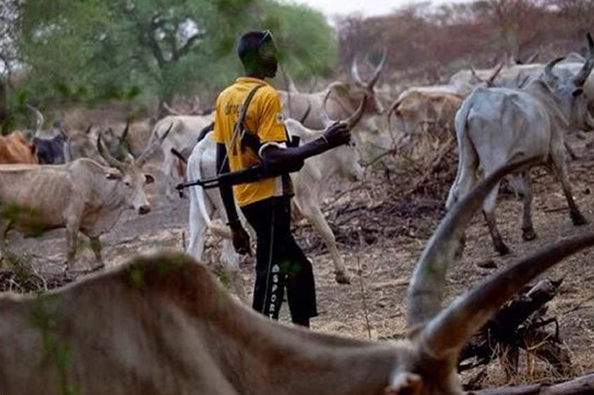 Herders leading livestock to farmlands, intolerable says KACRAN