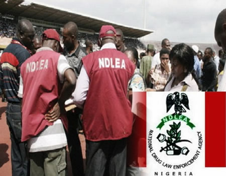 NDLEA nabs female doctor, ex-soldier for selling drugged cookies, cocaine, others