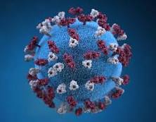 Germany records highest single-day rise in virus cases since April‎