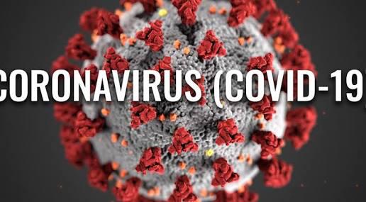 UK coronavirus deaths rise again