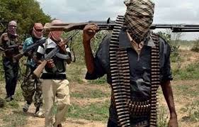 Gunmen kill PDP Leader, Seven others in Niger