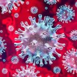 Covid 19: U.S. death toll surpasses 250,000 as infections continue to surge
