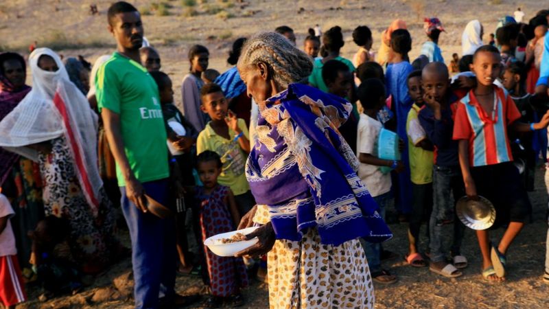 Ethiopia's Tigray crisis: UN, other aid agencies seek ceasefire