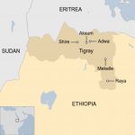 Ethiopia's military threatens 'no mercy' in assault on regional capital