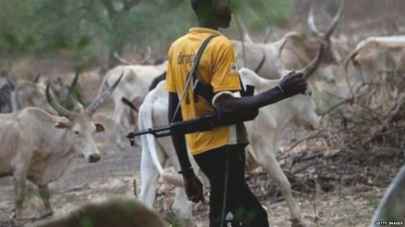 Fulani herdsmen invade Falae's farm, destroy crops