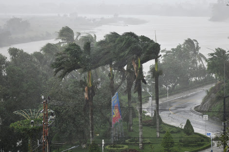 Typhoon Molave leaves 39 dead, 44 missing in Vietnam‎